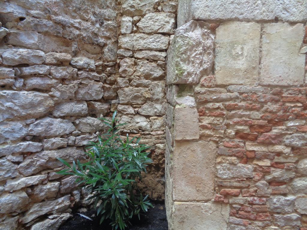 B&B Le Chat Qui Dort Montricoux Екстер'єр фото